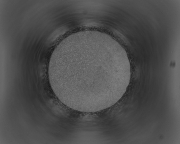 X0000091530824200708311309