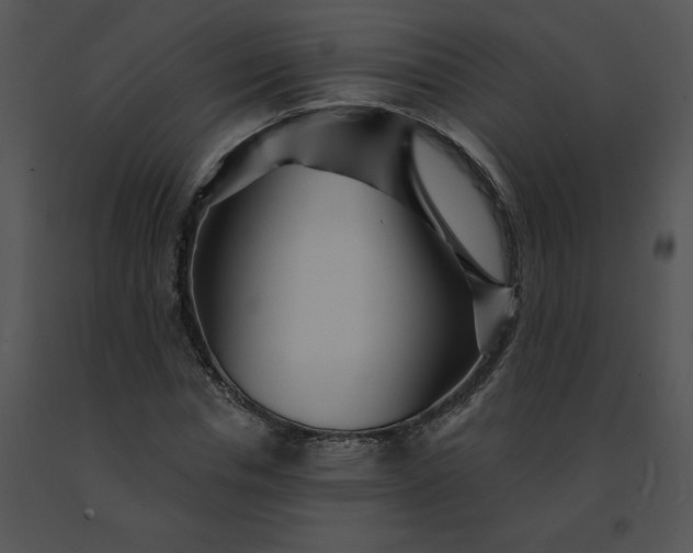 X0000091530826200708311309