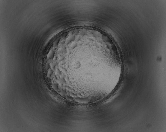 X0000091530827200708311309