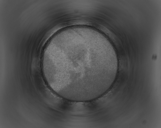 X0000091530828200708311309