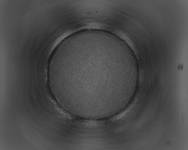 X0000091530829200708311309