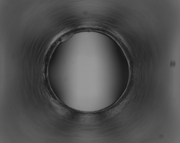 X0000091530830200708311309