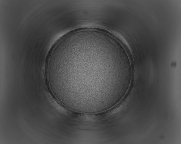 X0000091530831200708311309