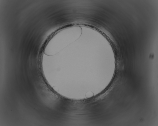 X0000091530832200708311309