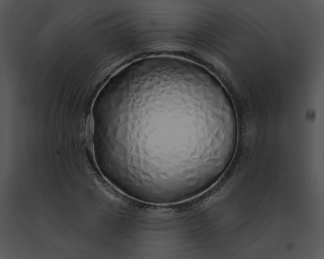 X0000091530833200708311309