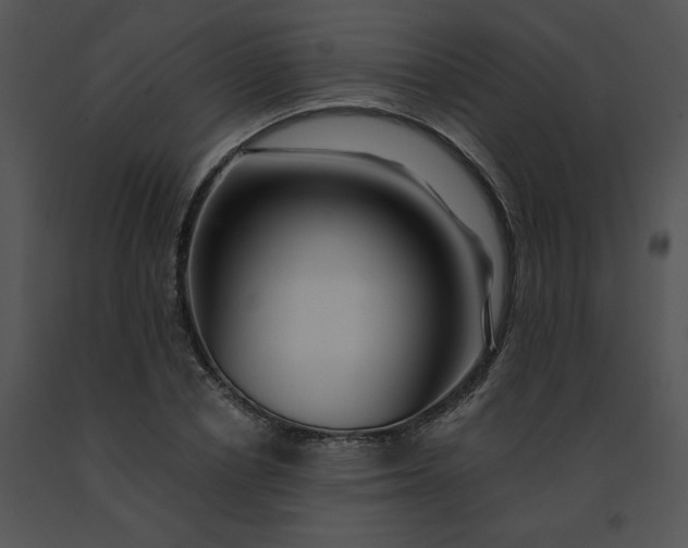 X0000091530834200708311309