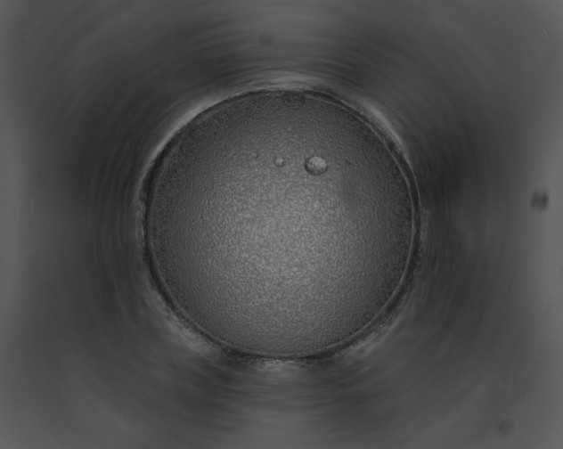 X0000091530835200708311309