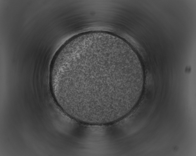 X0000091530836200708311309