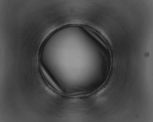X0000091530837200708311309