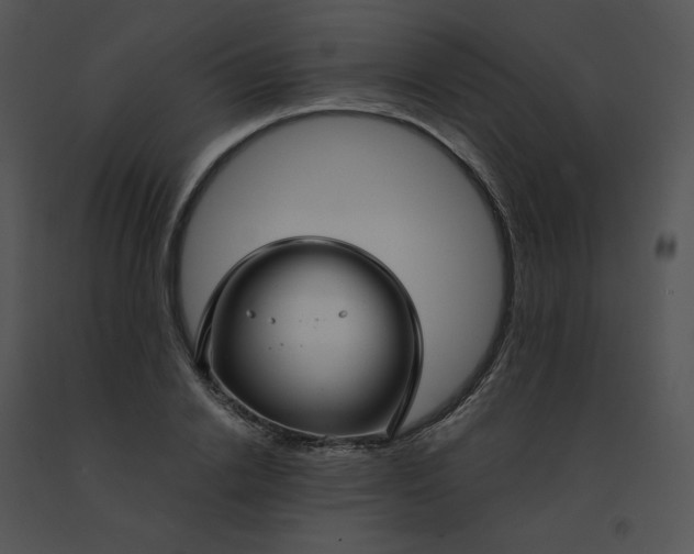 X0000091530838200708311309