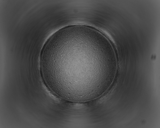 X0000091530839200708311309