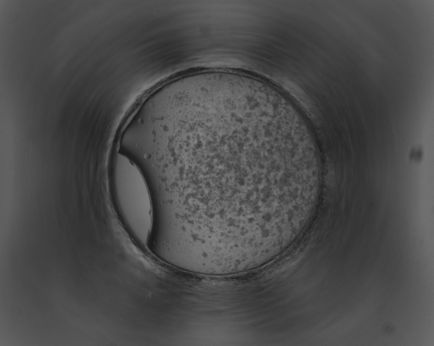 X0000091530840200708311309