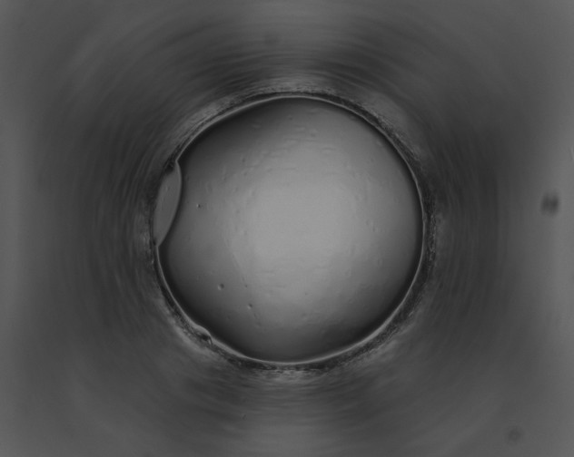 X0000091530841200708311309