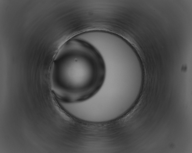 X0000091530842200708311309