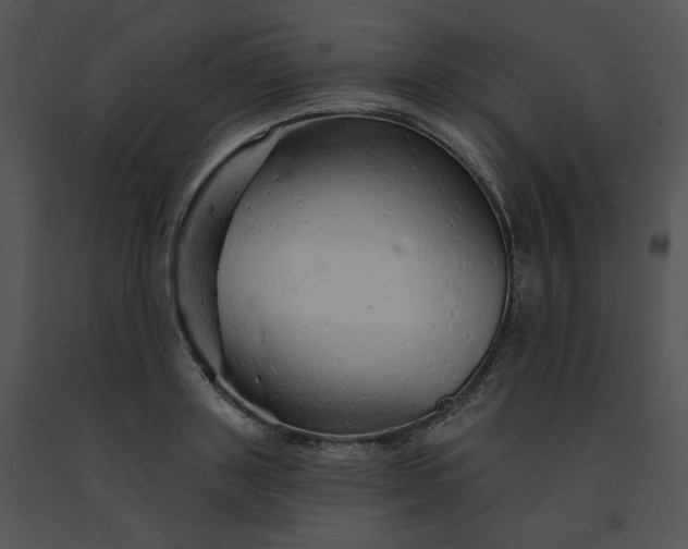X0000091530843200708311309