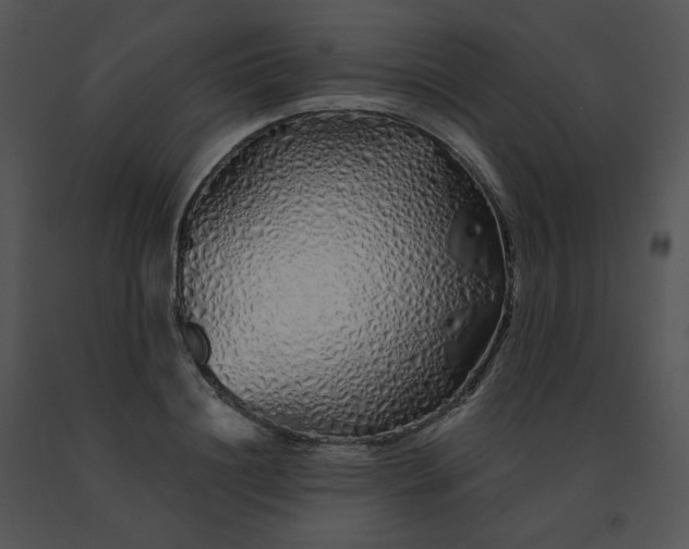 X0000091530844200708311309