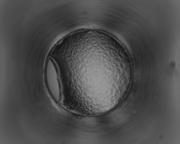 X0000091530845200708311309