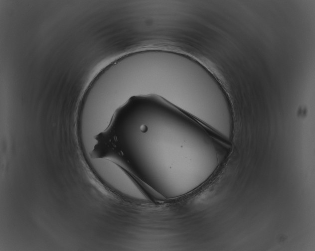 X0000091530846200708311309