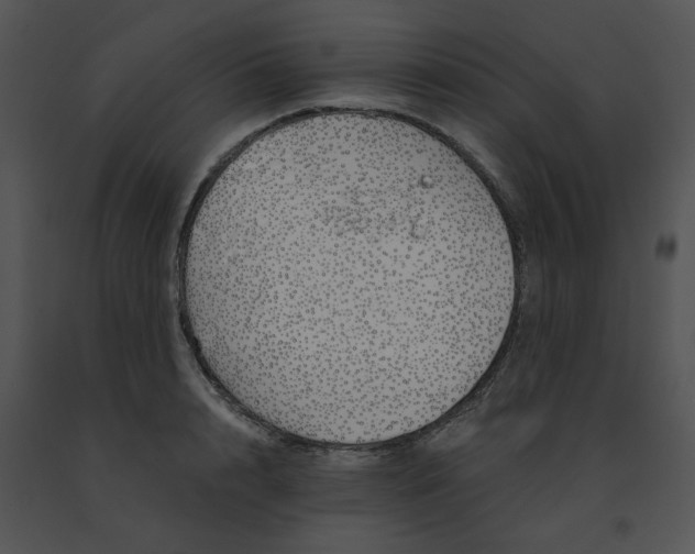 X0000091530848200708311309