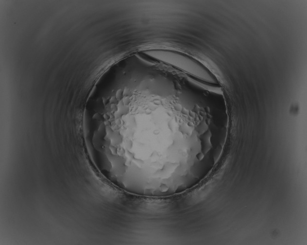 X0000091530849200708311309