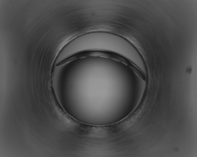 X0000091530850200708311309