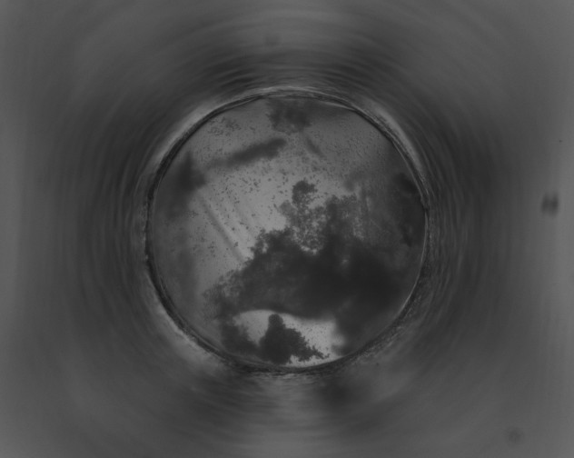 X0000091530851200708311309