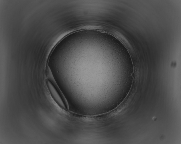 X0000091530852200708311309