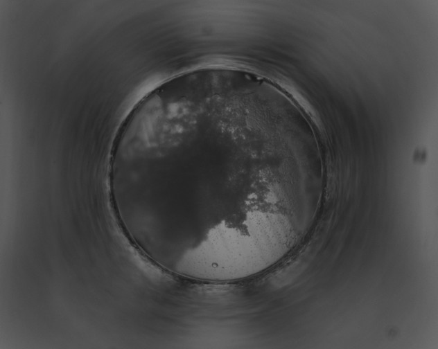 X0000091530853200708311309