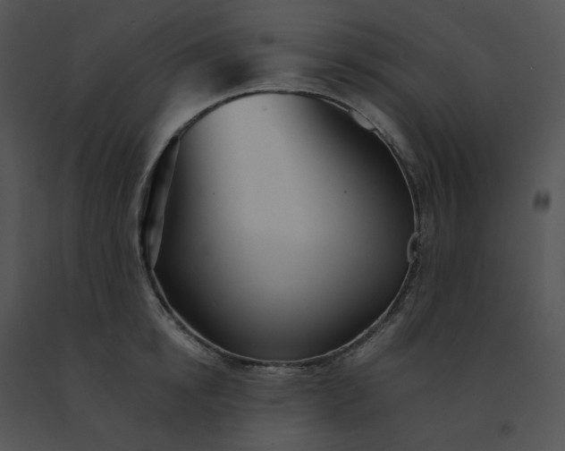 X0000091530854200708311309