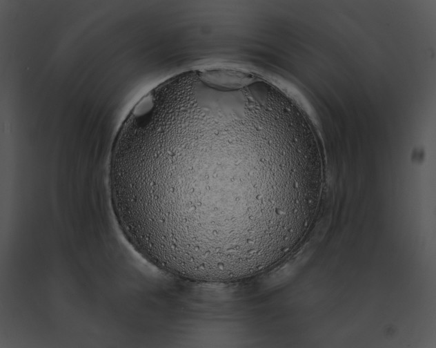 X0000091530855200708311309