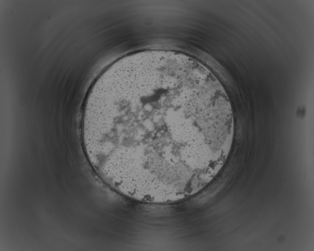 X0000091530856200708311309