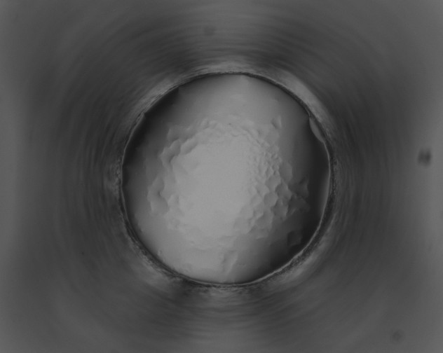 X0000091530857200708311309