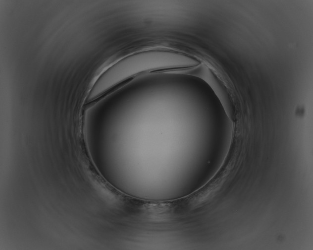 X0000091530858200708311309