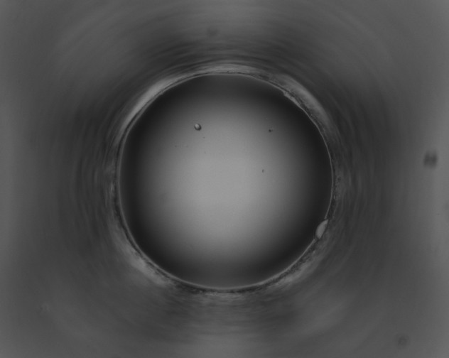 X0000091530860200708311309