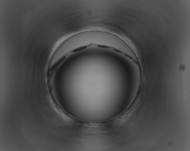 X0000091530862200708311309