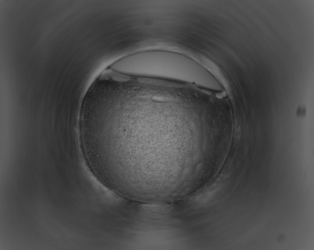 X0000091530863200708311309