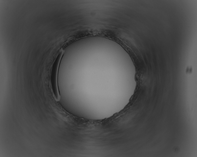 X0000091530865200708311309