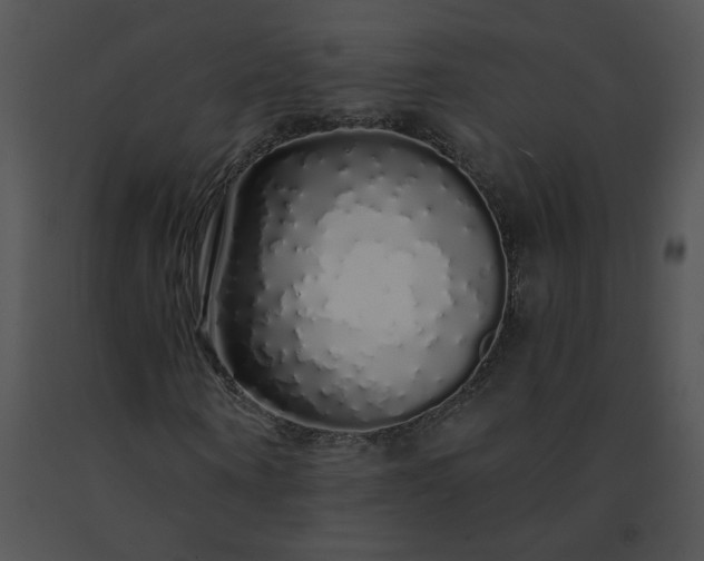 X0000091530866200708311309