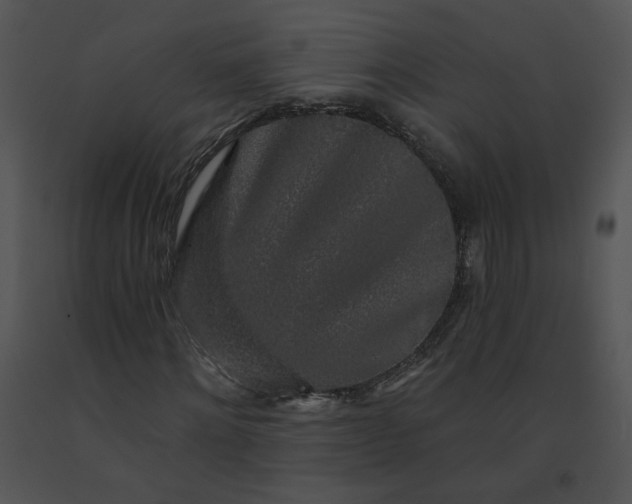 X0000091530868200708311309