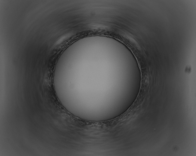 X0000091530869200708311309