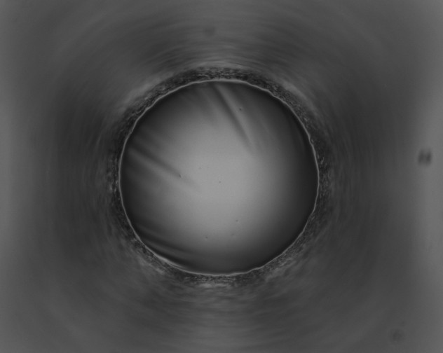 X0000091530870200708311309