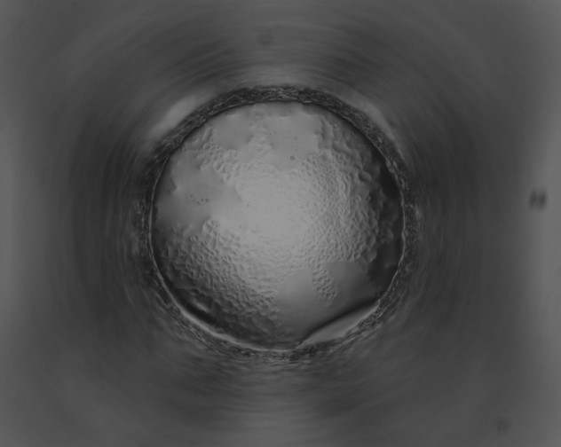 X0000091530871200708311308