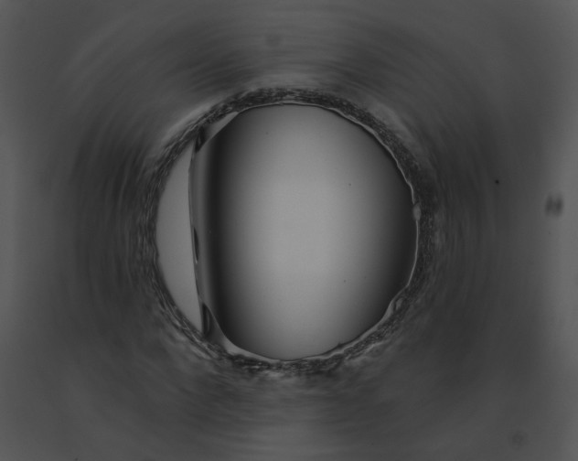 X0000091530872200708311308