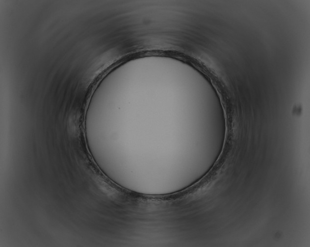 X0000091530873200708311308