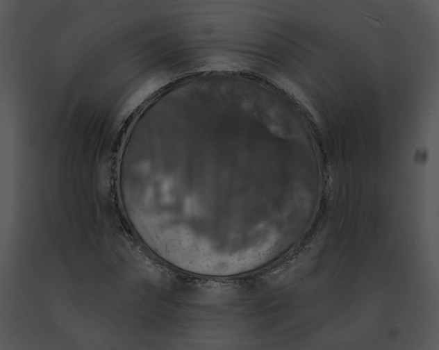 X0000091530874200708311308