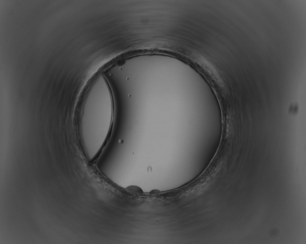 X0000091530876200708311308
