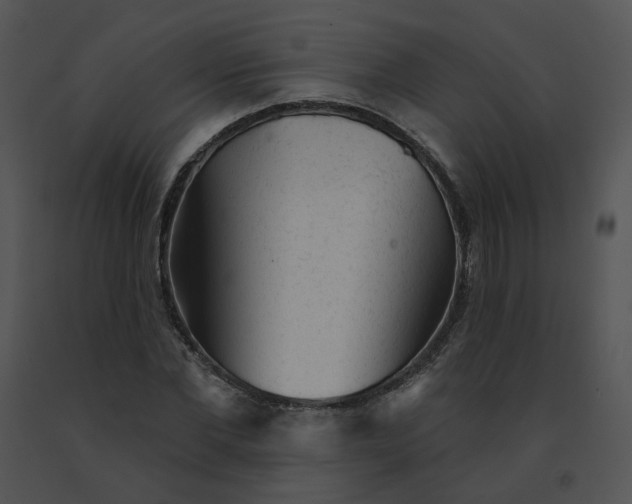 X0000091530877200708311308