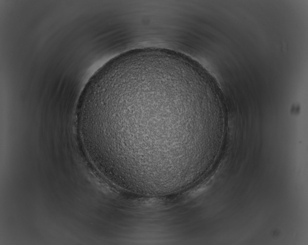 X0000091530879200708311308