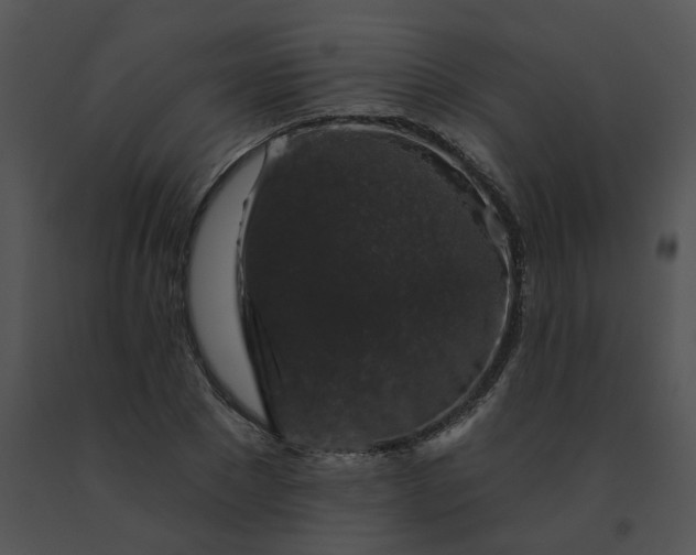 X0000091530881200708311308
