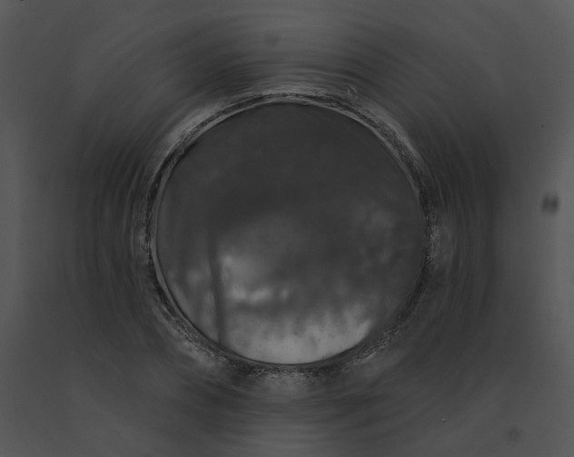 X0000091530882200708311308